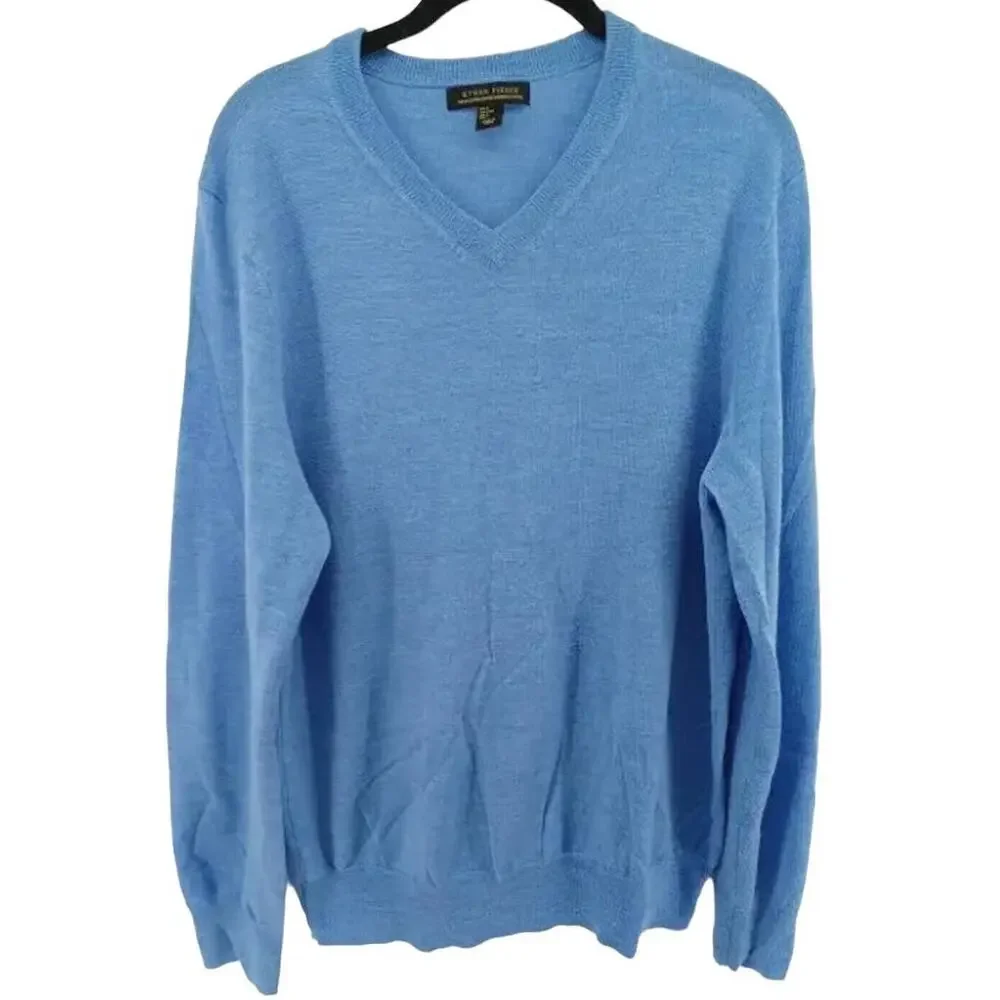 Ethan Pierce Sweater Men's Size L Blue Merino Wool V Neck Long Sleeve Pullover